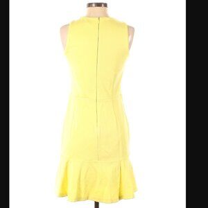 NWT Ann Taylor Petite Casual dress (Size 4P)